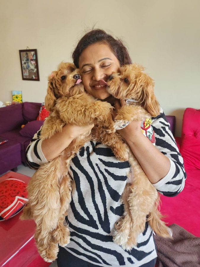 Two dogs being cuddled by their sitter