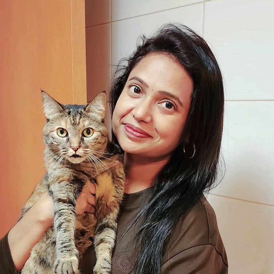 Salem the cat being held and cared for