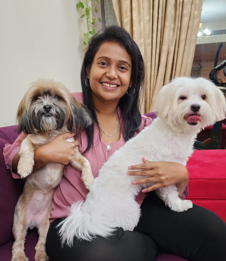 Two small dogs cuddled up together